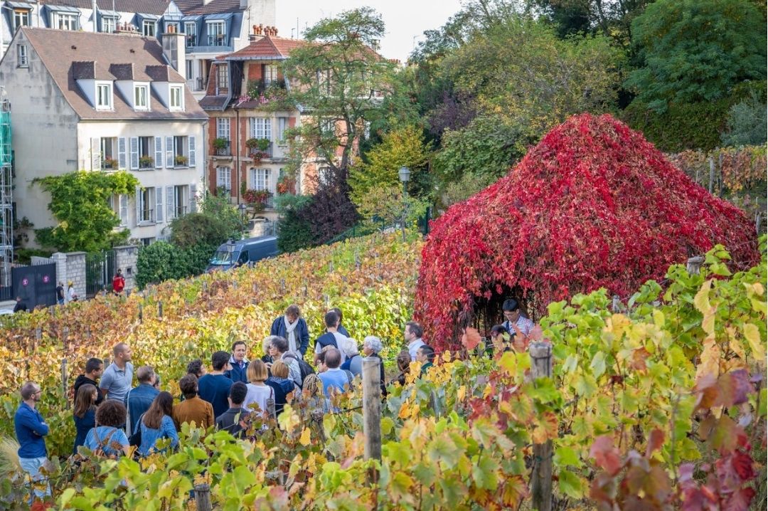 monmatrewineharvest 18tharrondissement paris